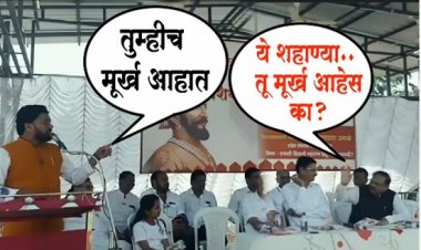 शहाण्यांनो!, मुर्ख कोण?