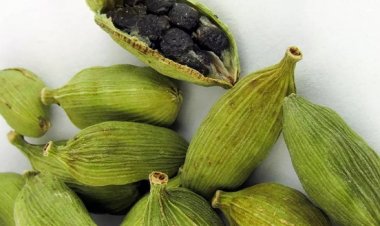 इलायची के स्वास्थ्य लाभ