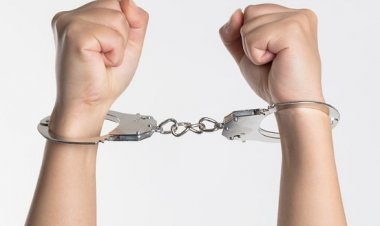 कांचननगर गृहनिर्माण संस्थेच्या तीन उच्चभ्रू भामट्यांविरुद्ध गुन्हा दाखल