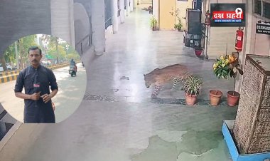 सीढ़ियाँ चढ़कर बटालियन दफ्तर में टहला तेंदुआ, एसआरपीएफ कैंप में हड़कंप