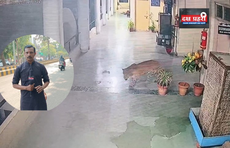 सीढ़ियाँ चढ़कर बटालियन दफ्तर में टहला तेंदुआ, एसआरपीएफ कैंप में हड़कंप