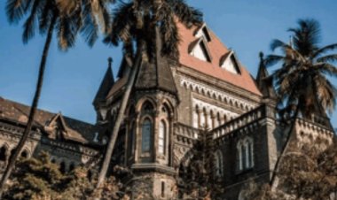 एका व्यक्तीवर ७ गुन्हे!… हायकोर्टाचा पोलिसांना दणका – “दोषारोपपत्र नका दाखल करू