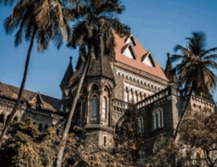 एका व्यक्तीवर ७ गुन्हे!… हायकोर्टाचा पोलिसांना दणका – “दोषारोपपत्र नका दाखल करू