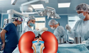 कुर्बानी, मजबुरी की सदका-ए-जारीया? : किडनी दानाचा इस्लामिक पैलू