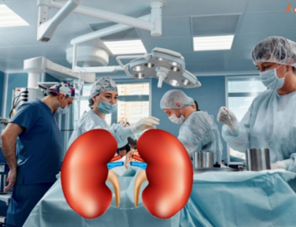 कुर्बानी, मजबुरी की सदका-ए-जारीया? : किडनी दानाचा इस्लामिक पैलू