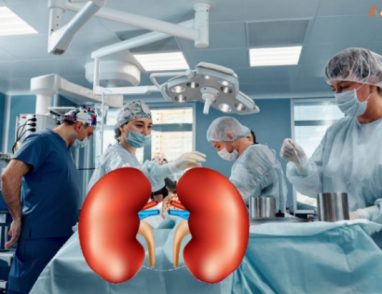 कुर्बानी, मजबुरी की सदका-ए-जारीया? : किडनी दानाचा इस्लामिक पैलू